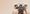 Image to render