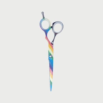 Ciseaux droit LGBT -Silver Line - Taille 6